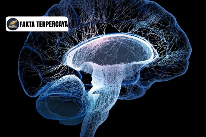 Otak Manusia: Mengapa Kita Sering Melupakan Hal Kecil?