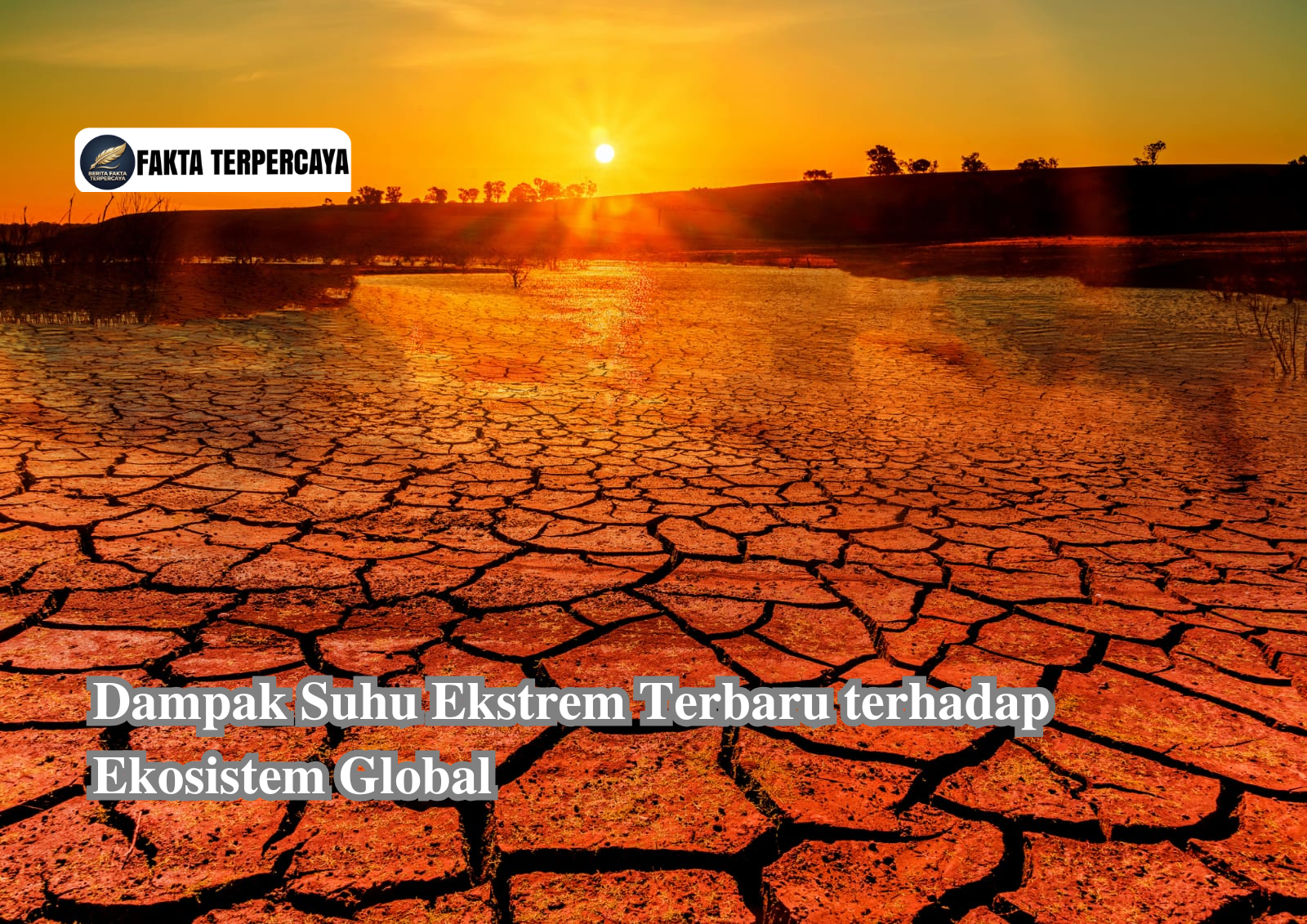 Dampak Suhu Ekstrem Terbaru terhadap Ekosistem Global