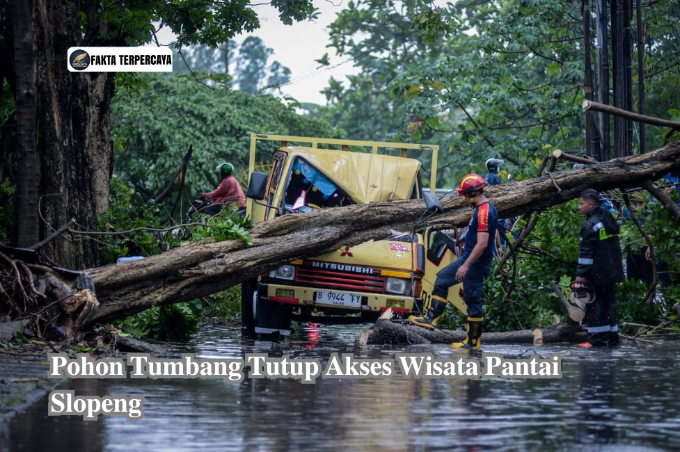 Pohon Tumbang Tutup Akses Wisata Pantai Slopeng