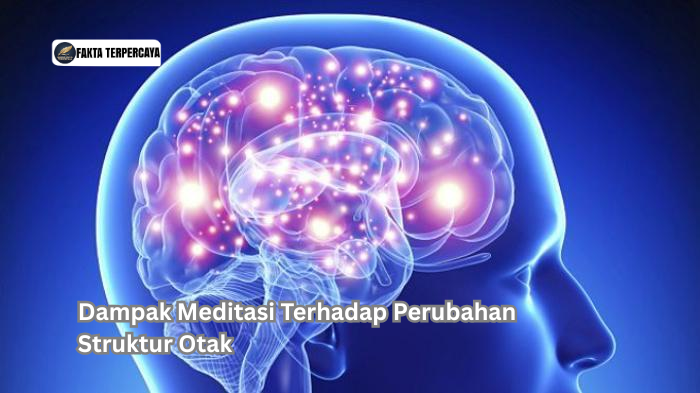 Dampak Meditasi Terhadap Perubahan Struktur Otak