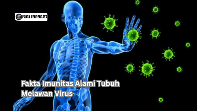 Fakta Imunitas Alami Tubuh Melawan Virus