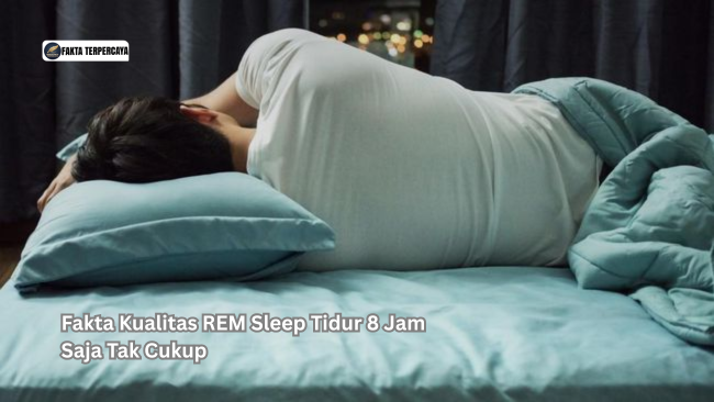 Fakta Kualitas REM Sleep Tidur 8 Jam Saja Tak Cukup