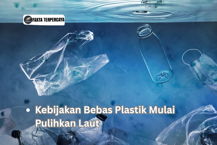 Kebijakan Bebas Plastik Mulai Pulihkan Laut