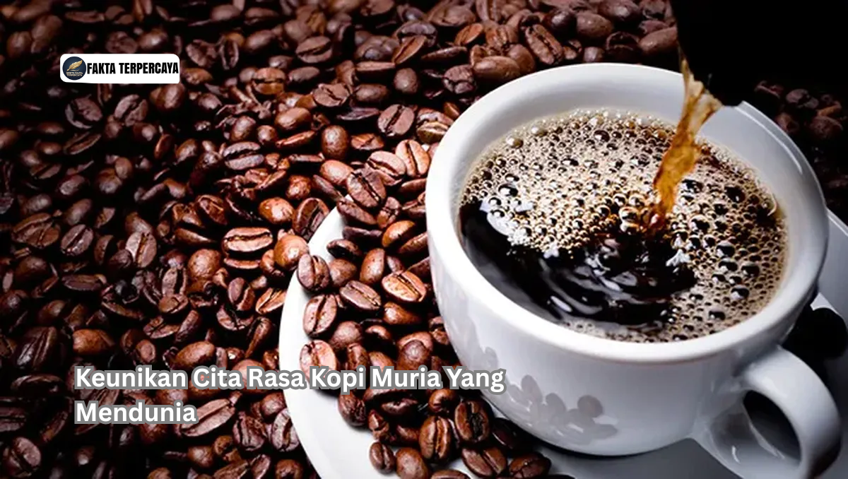 Keunikan Cita Rasa Kopi Muria Yang Mendunia