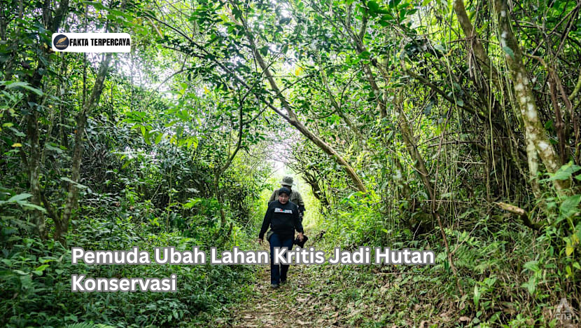 Pemuda Ubah Lahan Kritis Jadi Hutan Konservasi