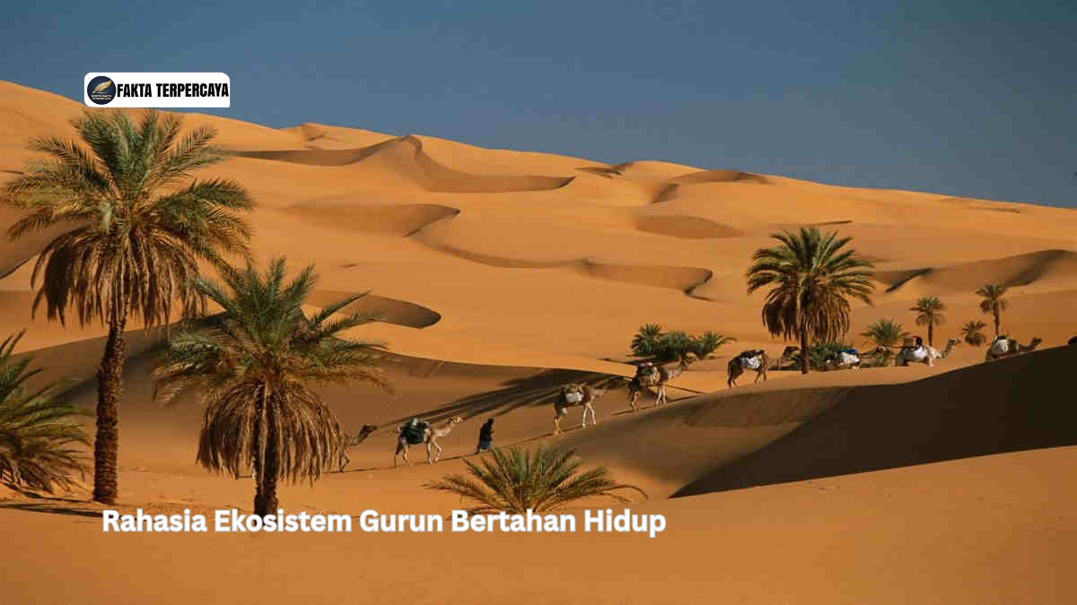 Rahasia Ekosistem Gurun Bertahan Hidup