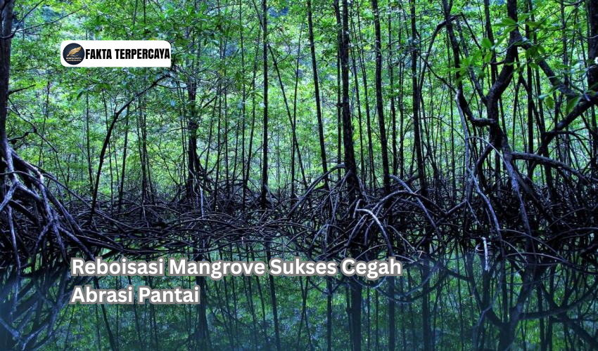 Reboisasi Mangrove Sukses Cegah Abrasi Pantai