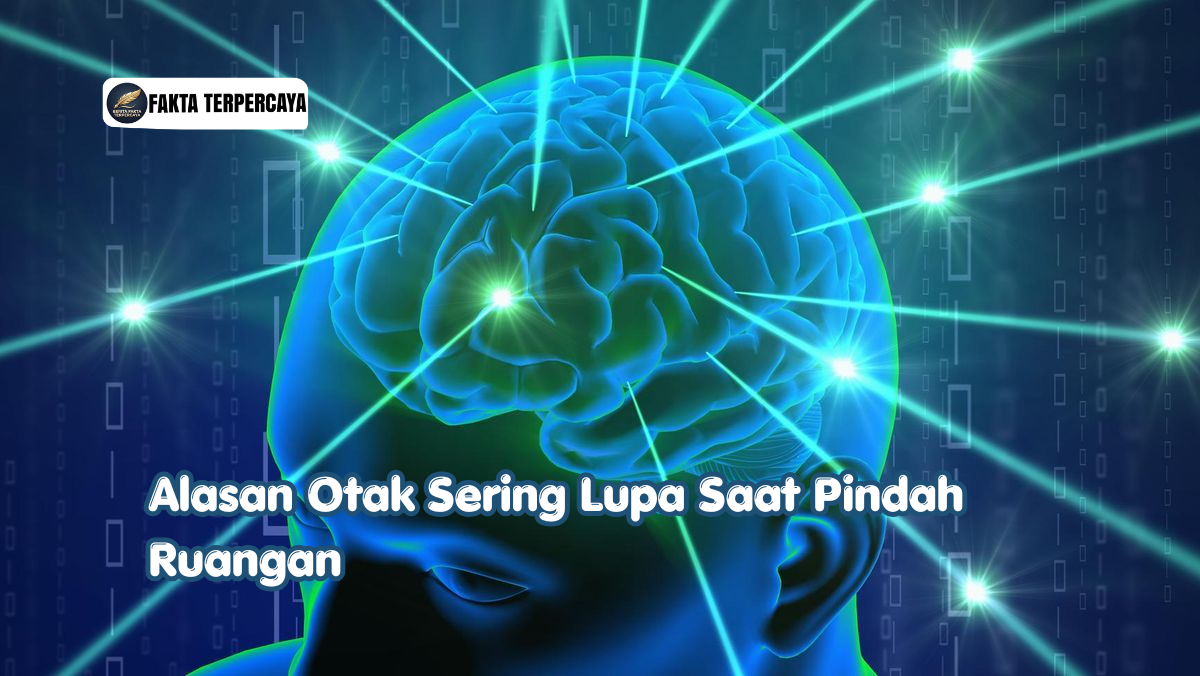 Alasan Otak Sering Lupa Saat Pindah Ruangan