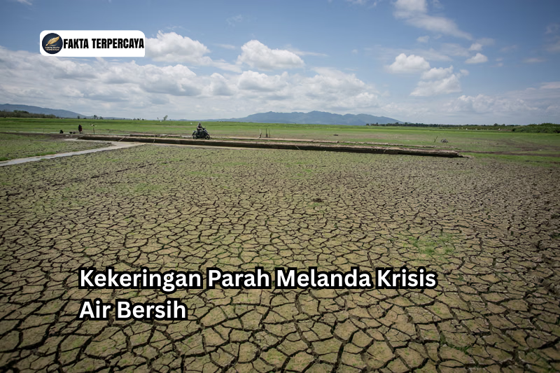 Kekeringan Parah Melanda Krisis Air Bersih