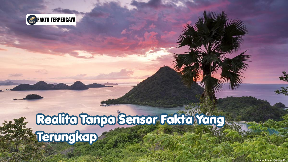 Realita Tanpa Sensor Fakta Yang Terungkap